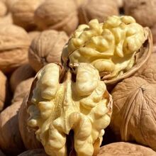 ���l�½���Ƥ����185�º������l500g  �����_��Ƥ���w������