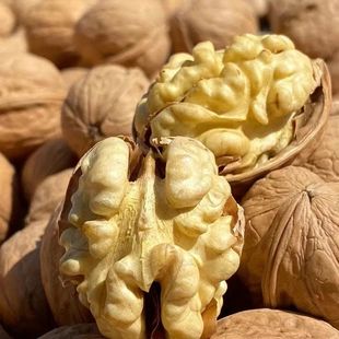 ���l�½���Ƥ����185�º������l500g  �����_��Ƥ���w������