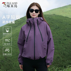 啄木鸟紫色冲锋衣女2025新款户外三合一小个子超好看短款登山外套