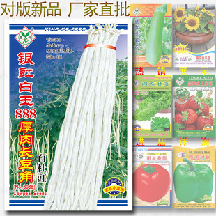 �y������888�����L���ǷN�� �׶��ǷN�� �춹�� �׶��� �y������