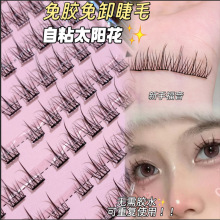 ���z̫ꖻ��ٽ�ë�ֶ���Ȼ���N���֑�����ճ���؏�ʹ��Դ�^�S��