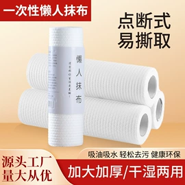 抹布、百洁布;拖把、拖布桶;懒人抹布