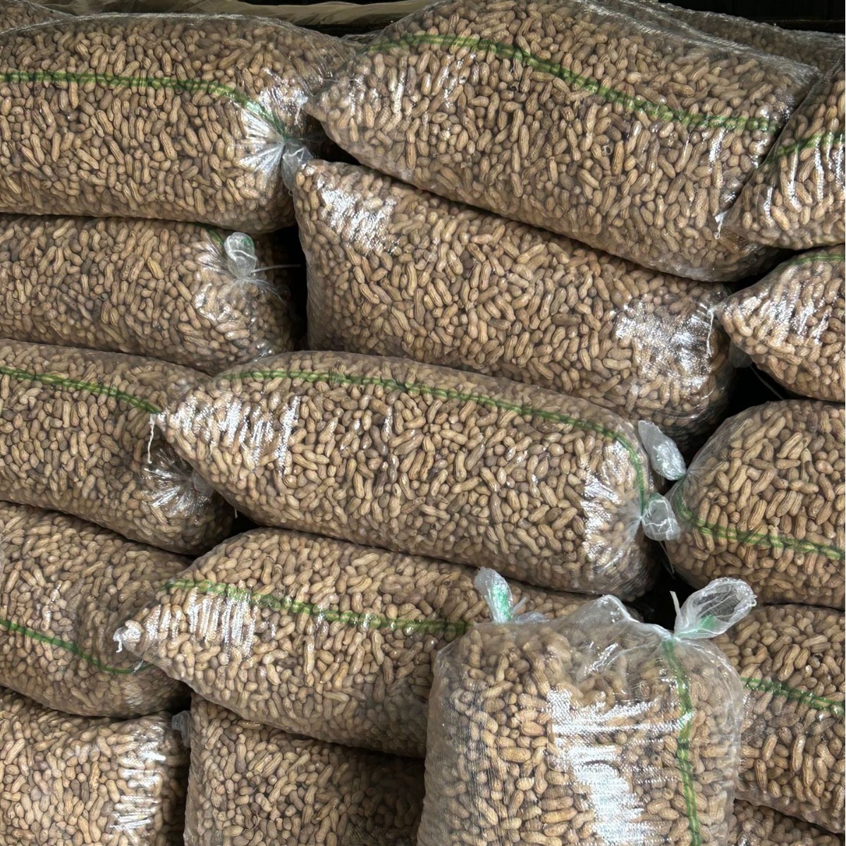 新货黑花生带壳批发黑花生米五香批發黑皮花生源头产地直发