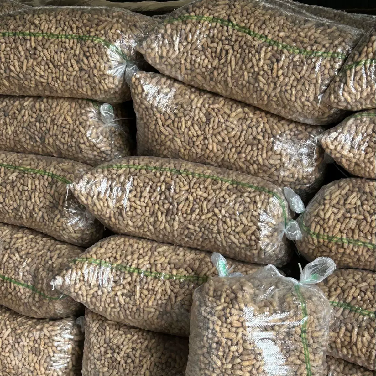 新货黑花生带壳批发黑花生米五香批發黑皮花生源头产地直发