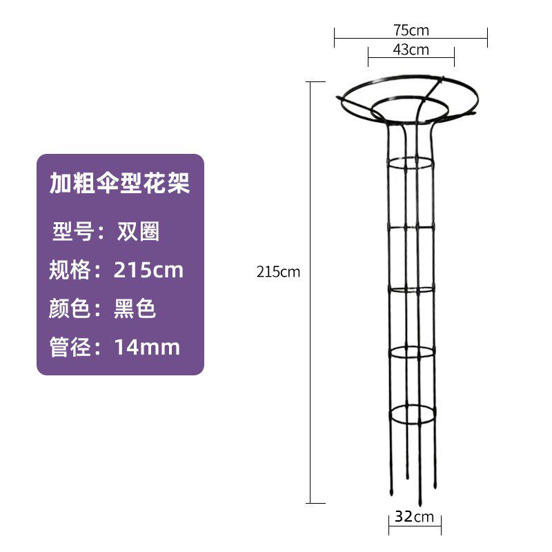 Double cercle noir, diamètre du cercle 32 cm - hauteur 215 cm, version audacieuse.