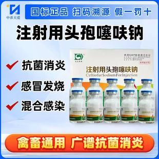 �Fș�^��ĸ�iĸ��ĸţ�a���������i��ᘱ����S��ĸ���鷿���ӌm��