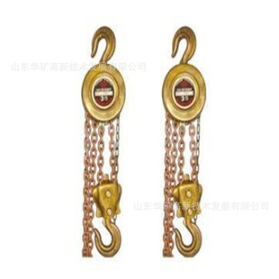 Wide Application Hand Chain Hoist Portable Hand Chain Hoist Hs10-(2.5~12) Explosion-Proof Hand Chain Hoist