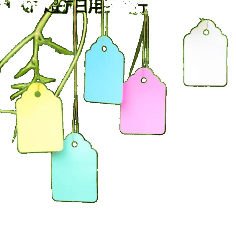 挂牌吊牌绿家用可花卉户外塑料吊植仓库手写牌标签小名字签