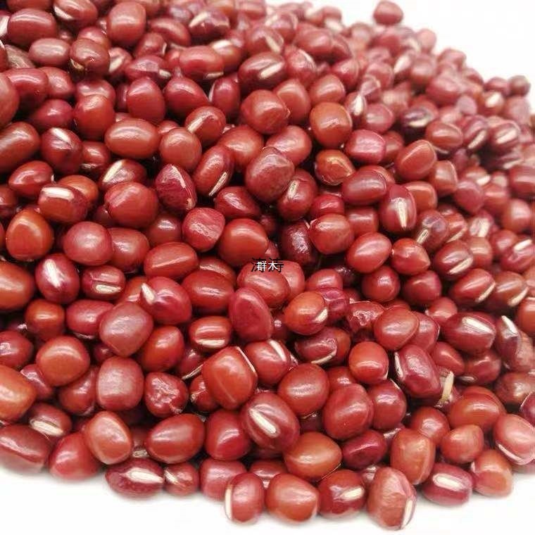 2.5kg 赤小豆農場 東北産小豆 大麦 赤小豆 全粒粉 栄養豆乳 1.0kg 緑豆 食用|undefined
