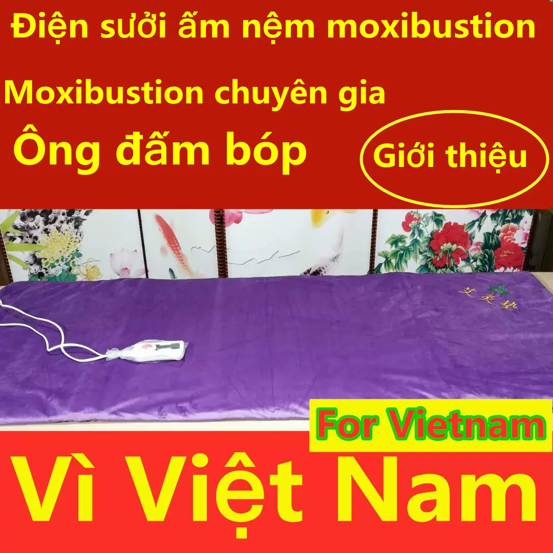 电加热温通艾灸垫睡垫坐垫热敷越南冬季电热艾灸毯pad艾绒艾草外