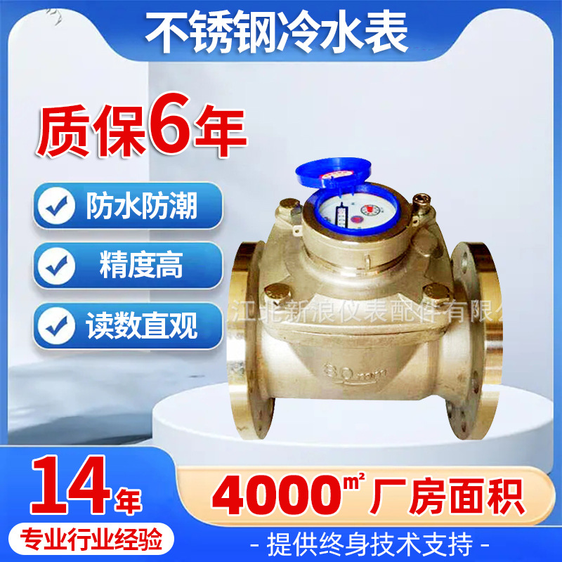 贝立欧LXG-50-200螺翼式冷水表304不锈钢纯净水水表工业阀门水表