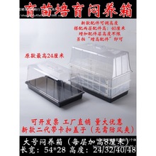 �������r�Ð��B�����縲�w�P���w��������ͥԺ�@ˇ������ů��