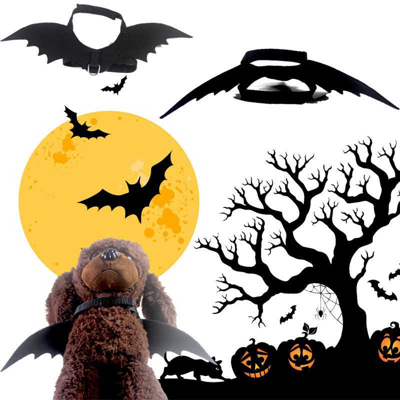 Pet Bat Wings Transformation Costume Accessories Halloween Creative Cat and Dog Small Dog Supplies Pet Dog Bichon Frise