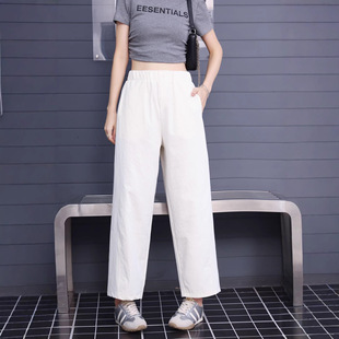 ��노�2026���¿����n���e�����ŷ֏���ѝ��z��]���w�ü�Ůѝ