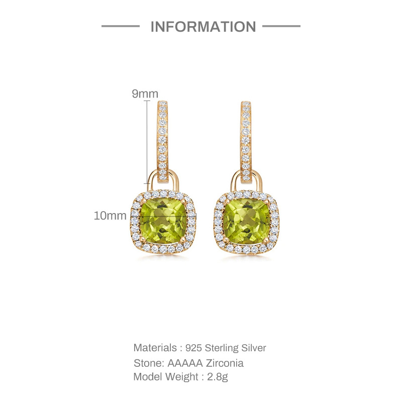 INS Style Square Sterling Silver Inlay Zircon Drop Earrings 1 Pair