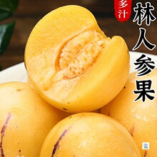 ���ʯ���˅������rˮ�������Fժ�S���˅��A����������������]