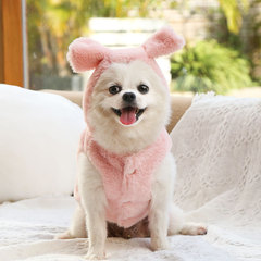 Coats and Accessories for Small to Medium Dogs and Cats: Pet Clothing with Bow Decorations for Teddy and Bichon Frise
