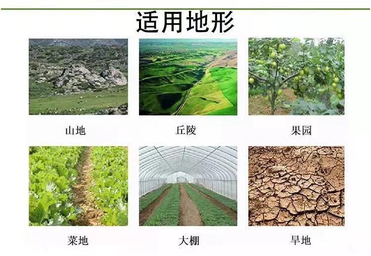 微信图片_20240626193256