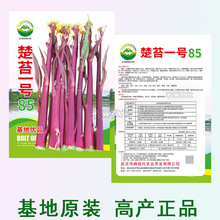 基地10克裝楚苔一號紅菜苔種子洪山菜苔種子正宗晚熟高產紅菜苔種