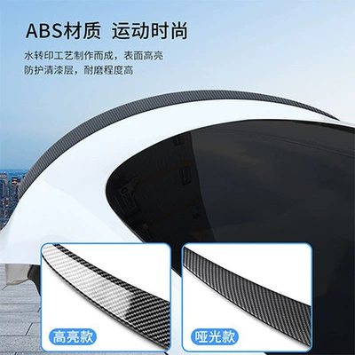 Fixed wind wing – Version High Performance Fixed Wing Wholesale