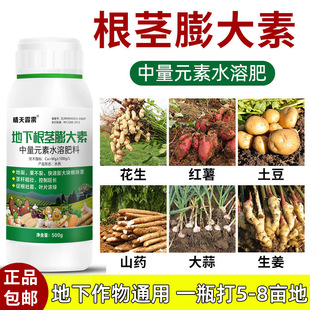 �������L���¸��o���������ɏź���������^�t��ݩ�j���K�o�����