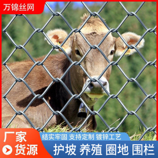 �����W��\����䓽z�W����@���@���o���WȦɽţ���Bֳ�F�z�W����