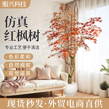 ����Gֲ�b���t�����҃����Դ�����ؔ[���Ƶ��̈��٘��辰