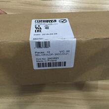 A010*ʵ�� REL-OR3/LDP-24DC/3*21 2903693 �����˹ �̵��� ȫ