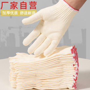 ���S���l���w���޾��������ރȜ�50��/�p�S���޼������ڱ�����