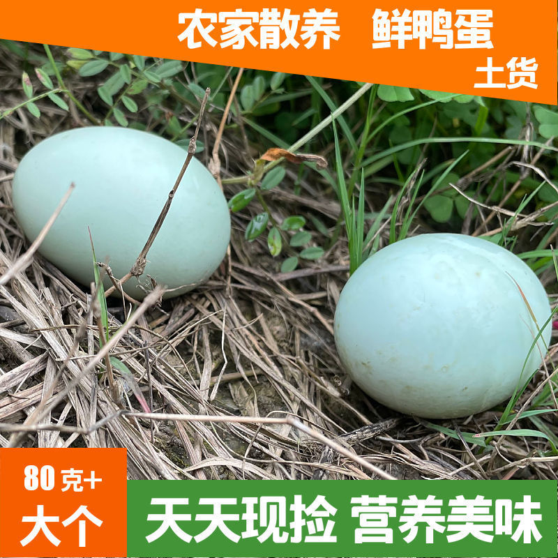 鸭蛋大个散养新鲜生洪湖大别山农村绿壳青皮土麻鸭蛋批发一箱批发|ru