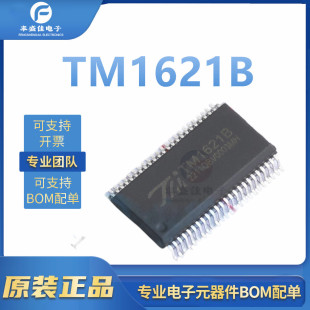 TM1621B ȫ��ԭ�b ���bSSOP-48-300mil 2.4V-5.2V LCD��