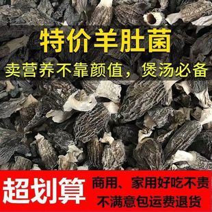 ��Ϯa����Ǿ������؛250������Ҝ�ʳ�����Ģ��500�˰��]