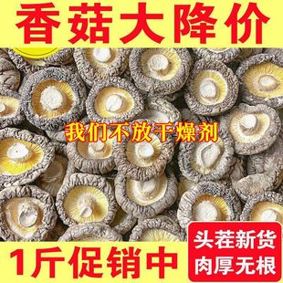 ���o������l�r���㹽��؛�r�����o�����r���㹽���������Ҝ�