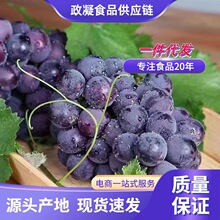 东北巨峰葡萄新鲜水果送礼网红孕妇水果黑提粒装整箱孕妇包邮代发