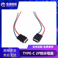 USB 3.1 TYPE-C母座2P焊线式防水款带线连接器充电专用接口IPX7