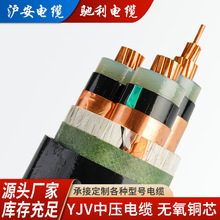 YJV3*120�е͉��������|�z�b��ɇ����~о������ϩ�^��10KV
