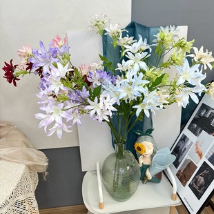 ���滨����7�^�m���ٻ�ˇ�����]���l����c�����廨�bƵ���