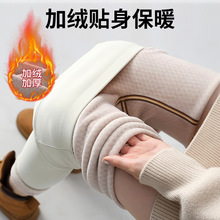 雪花绒加厚无尬线鲨鱼裤女外穿打底裤高腰收腹显瘦秋冬保暖小脚裤