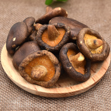 �����㹽�����¶ζ���e��ʳ�㹽�Ƀ��߲˹��ߴ�Ģ����OEM�N��