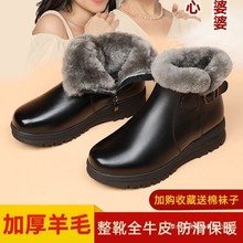 ƤЬŮӽqӺëȫţƤѩѥѥ