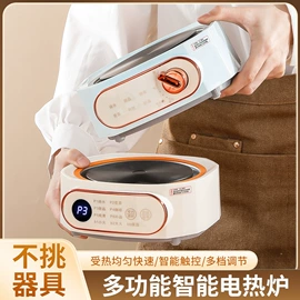 电动煮茶器;电火锅;电热杯