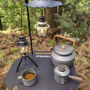 Multifunctional retro camping lamp camping lamp with fixed quick buckle 1/4 screw mouth bronze metal brushed tungsten wire lamp
