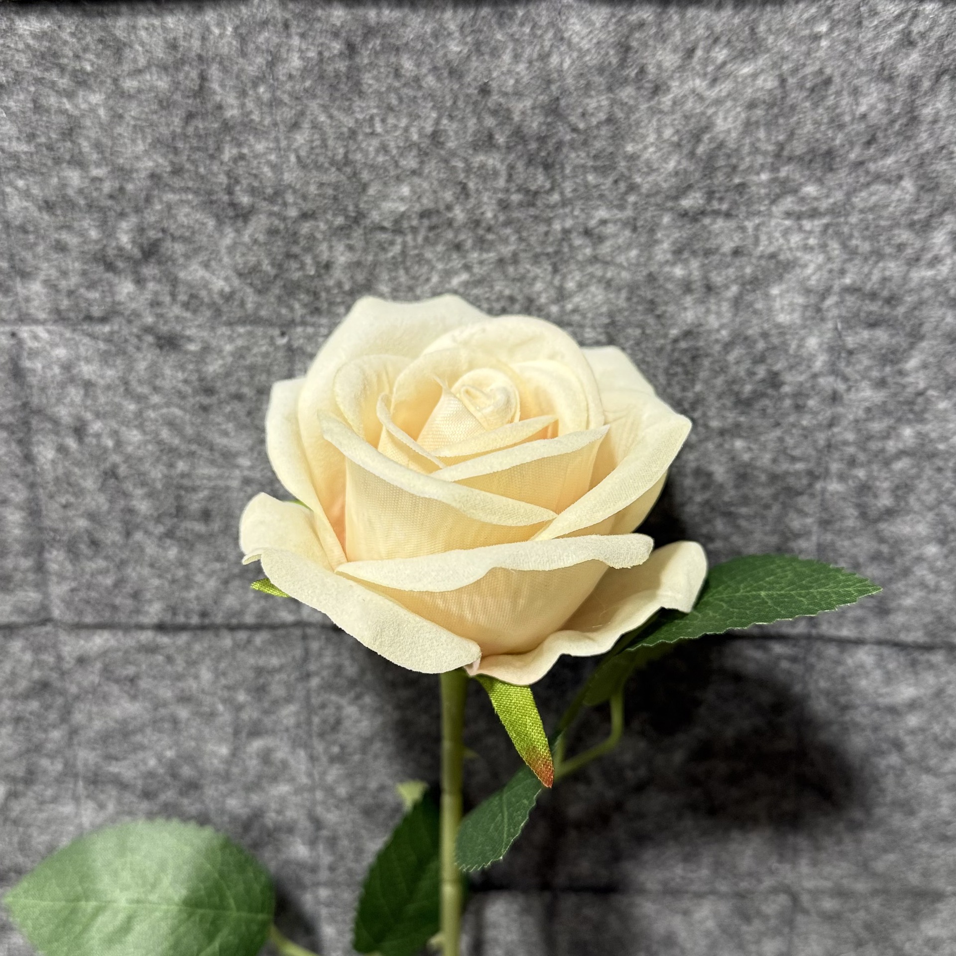 샴페인