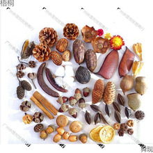 ɻb޻ɹ֦~ɏ׃@ֹhϰ