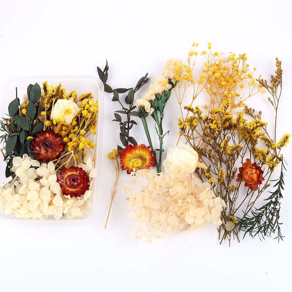 Flores secas preservadas hechas a mano, marco de fotos DIY, decoración mixta, materiales de aromaterapia, flores naturales, ramo de regalo para boda, San Valentín