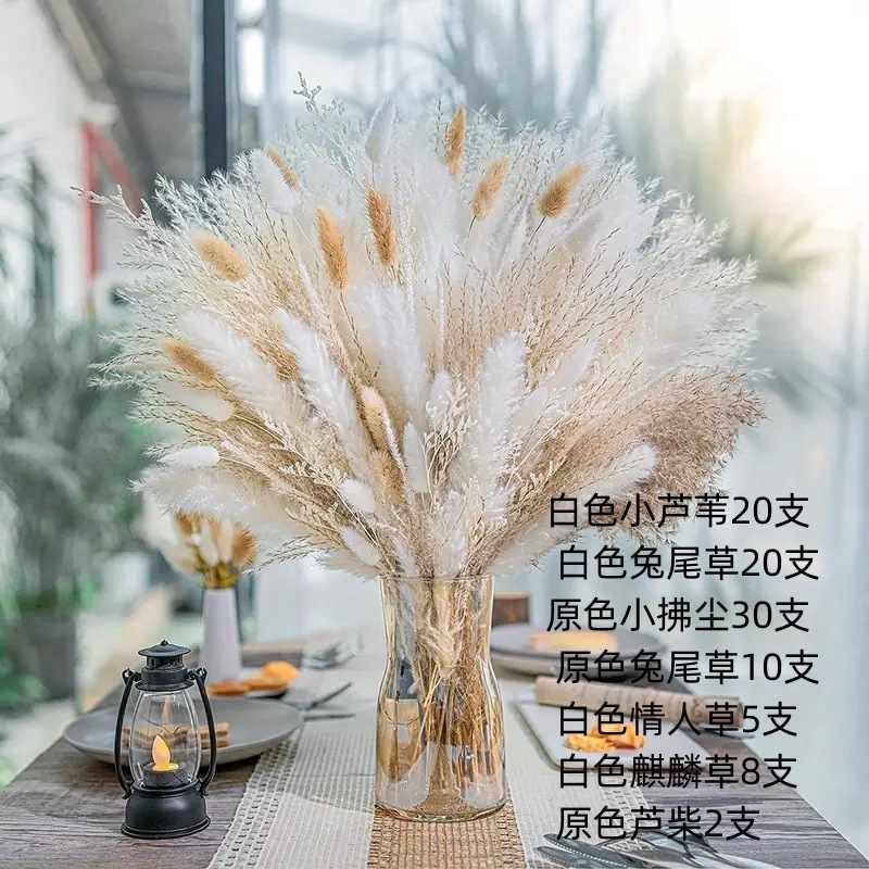アマゾンはよく売れています。葦の花の花束です。|undefined