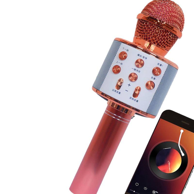 WS858 micrófono de audio inalámbrico micrófono doméstico k canción nacional bluetooth familia niños en una caja de altavoces
