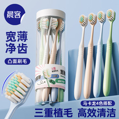晨客凸面桶装宽頭歯ブラシ、柔らかい毛、家庭用、大人カップル向け、8本入り、大人用高級品