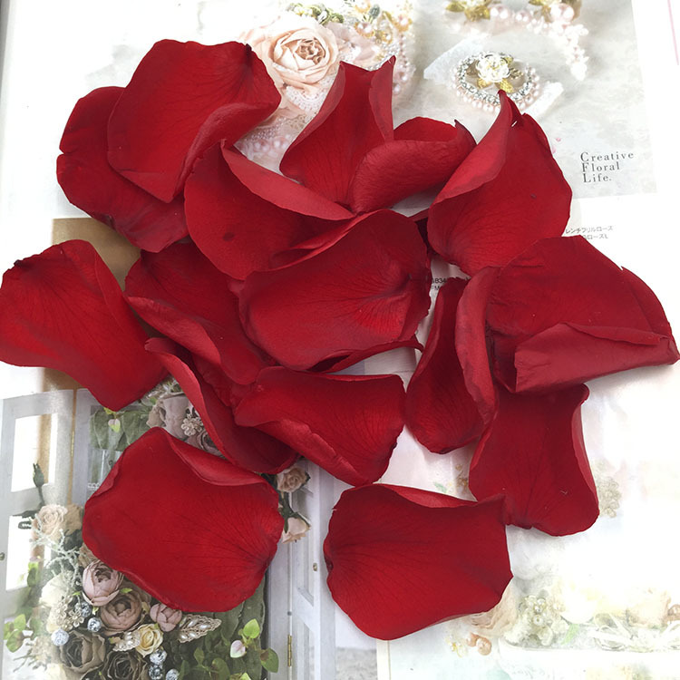 Flor inmortal pétalos de rosa flores verdaderas Día de San Valentín boda coche de boda decoración del hogar Flor inmortal DIY material al por mayor