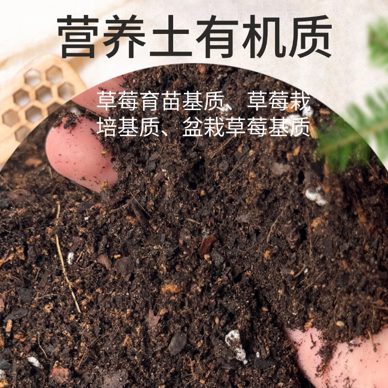 营养土通用养花土种植土有机肥种菜种花草莓栽培基质批发改良土壤|undefined